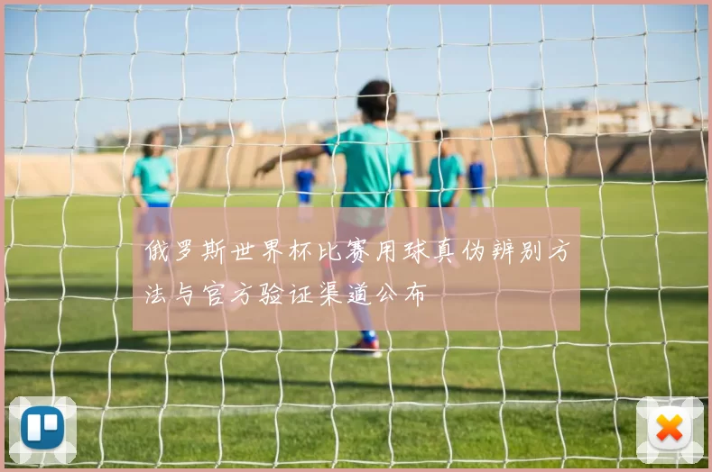 俄罗斯世界杯比赛用球真伪辨别方法与官方验证渠道公布