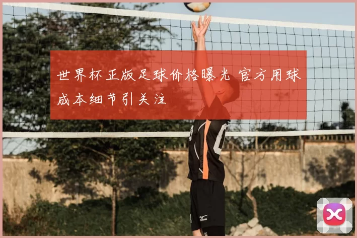 世界杯正版足球价格曝光 官方用球成本细节引关注