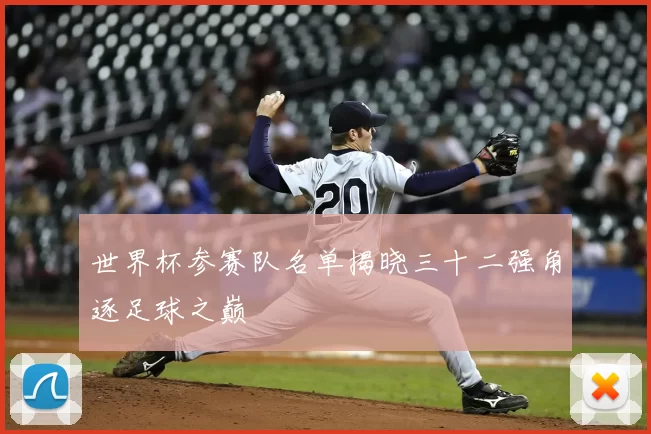 世界杯参赛队名单揭晓三十二强角逐足球之巅