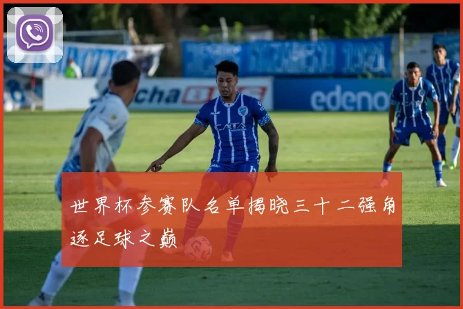 世界杯参赛队名单揭晓三十二强角逐足球之巅