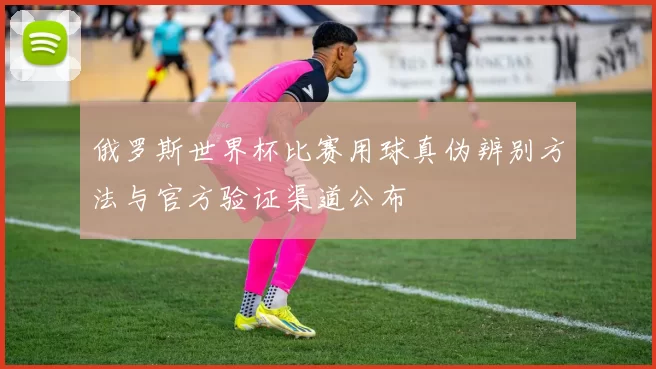 俄罗斯世界杯比赛用球真伪辨别方法与官方验证渠道公布