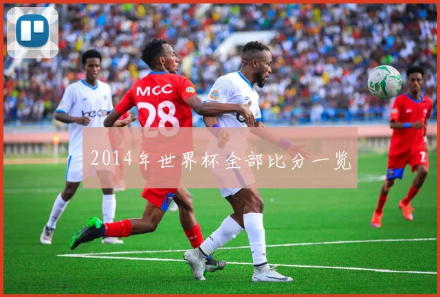 2014年世界杯全部比分一览