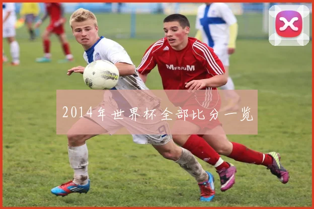 2014年世界杯全部比分一览